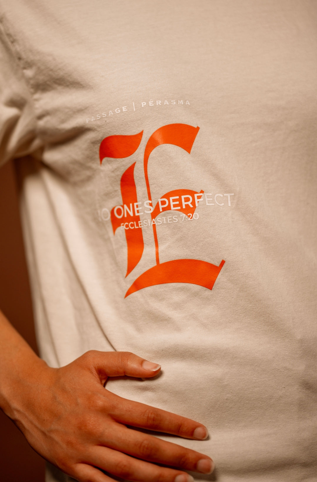 NO ONES PERFECT TEE